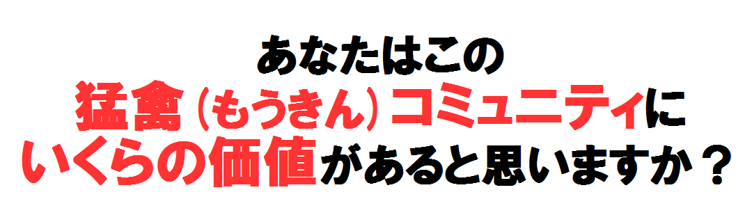 猛禽コミュニティ